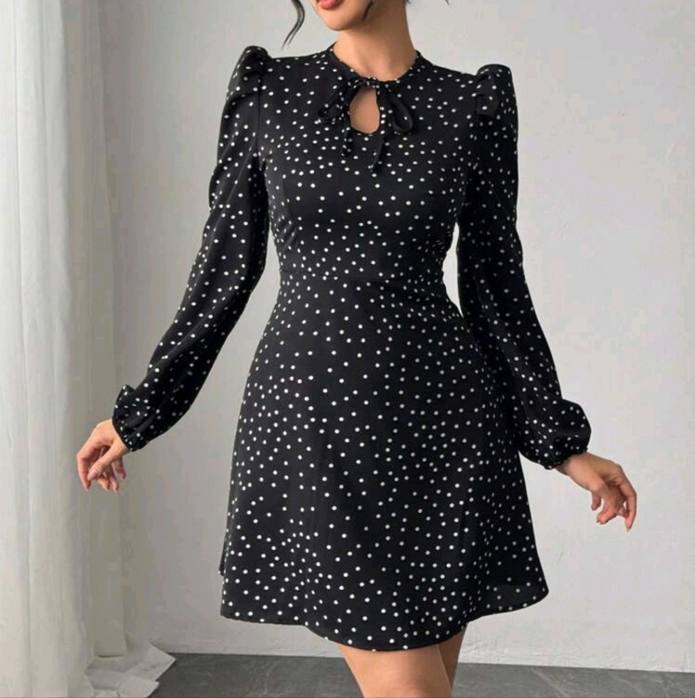 Women's Elegant Polka Dot Print Bow-Tie Waist Long Sleeve Dress - Picture 2 of 3